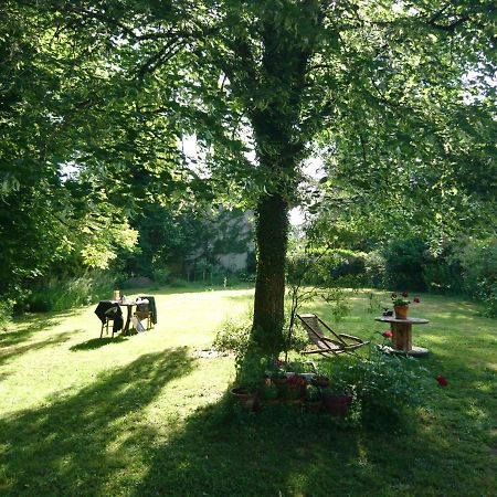 Grange Renovee Et Son Jardin Dans L'Avant Pays Savoyard Champagneux Bagian luar foto